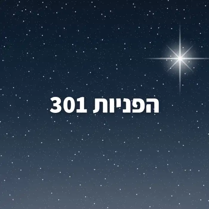 הפניות 301